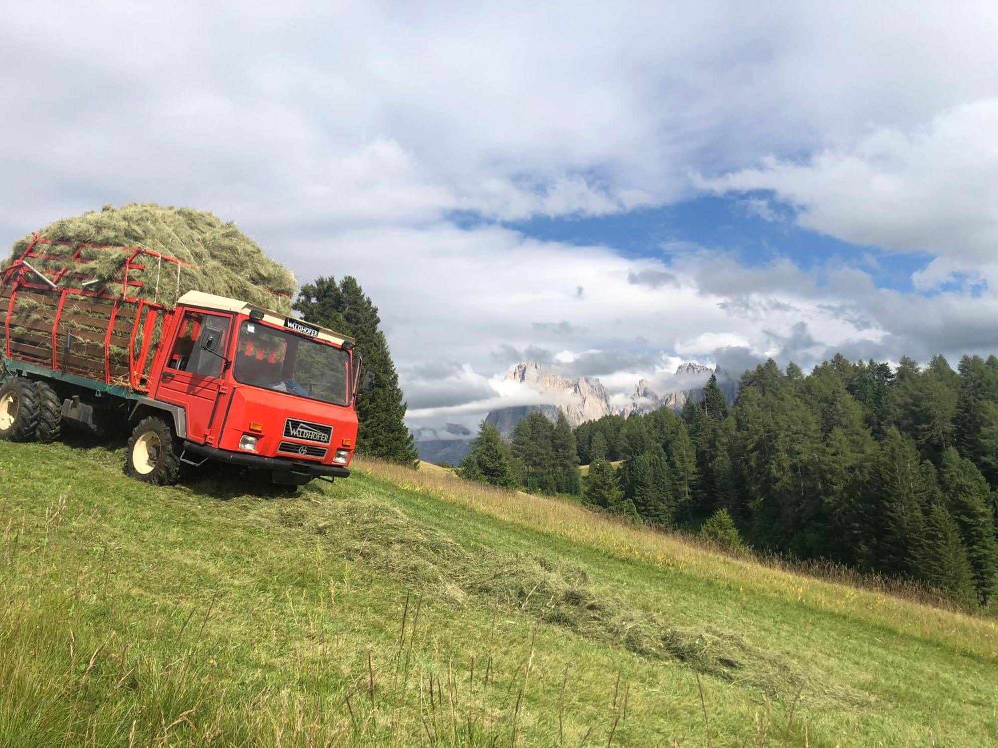 Sule Hof Agriturismo Ortisei Eksteriør bilde