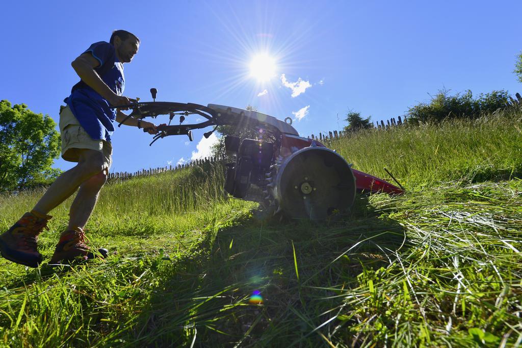 Sule Hof Agriturismo Ortisei Eksteriør bilde